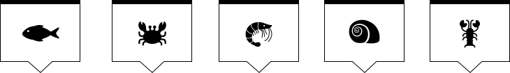 Логотип для рыбного магазина