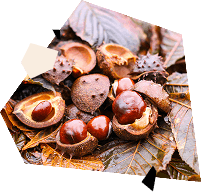 rozovyj-tsvet-v-dizajne