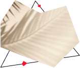 rozovyj-tsvet-v-dizajne