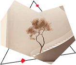 rozovyj-tsvet-v-dizajne