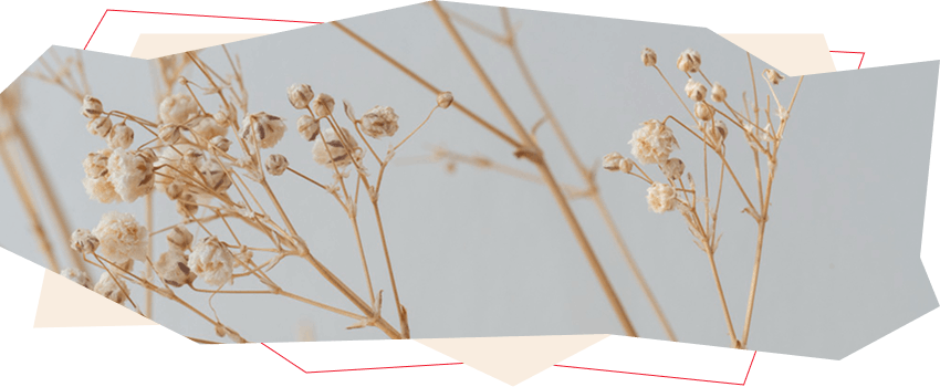 bejevyi-tsvet-v-dizajne