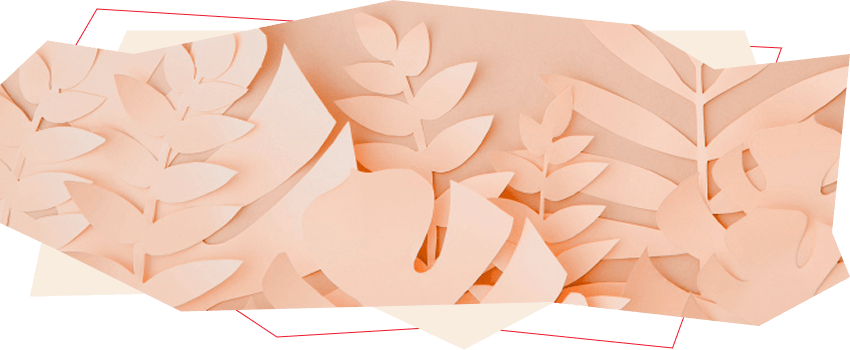 bejevyi-tsvet-v-dizajne