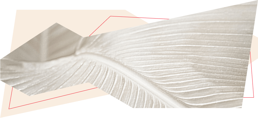 bejevyi-tsvet-v-dizajne