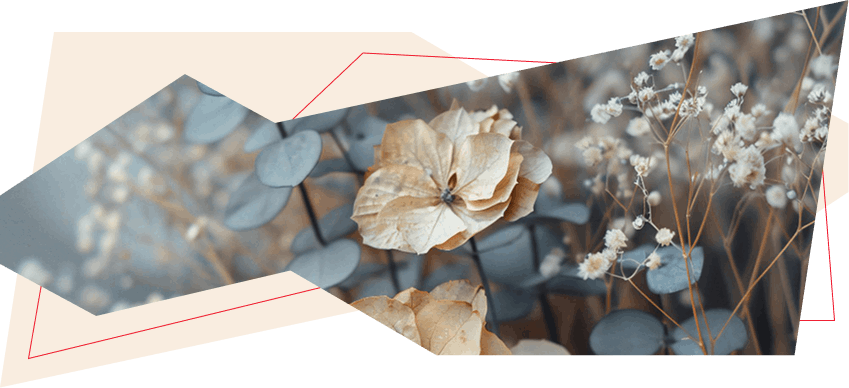 bejevyi-tsvet-v-dizajne