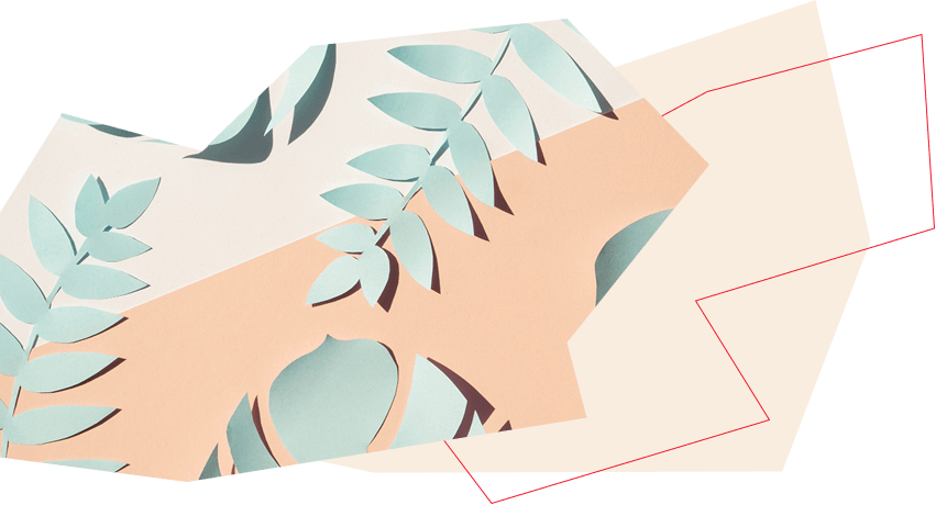 bejevyi-tsvet-v-dizajne