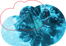 rozovyj-tsvet-v-dizajne