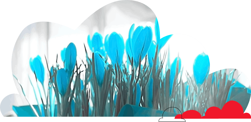 goluboj-tsvet-v-dizajne