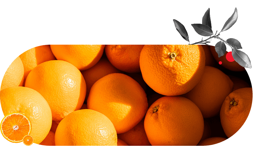 oranlevyj-tsvet-v-dizajne