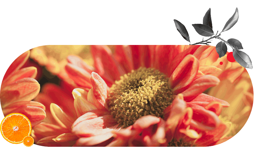 oranlevyj-tsvet-v-dizajne