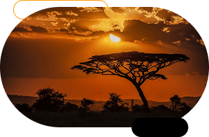 oranjevyj-tsvet-v-dizajne