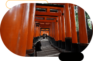 oranjevyj-tsvet-v-dizajne